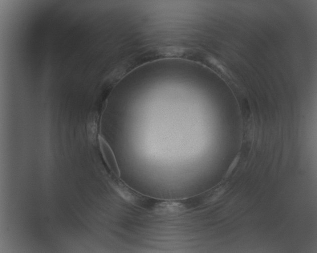 X0000070160427200605301304