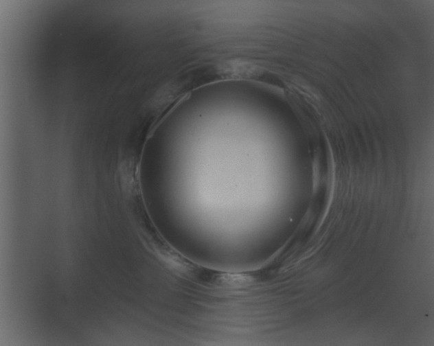 X0000070160429200605301304