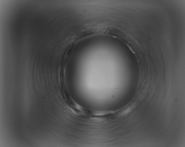 X0000070160432200605301304