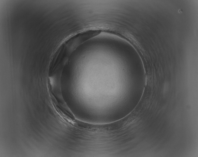 X0000070160434200605301303