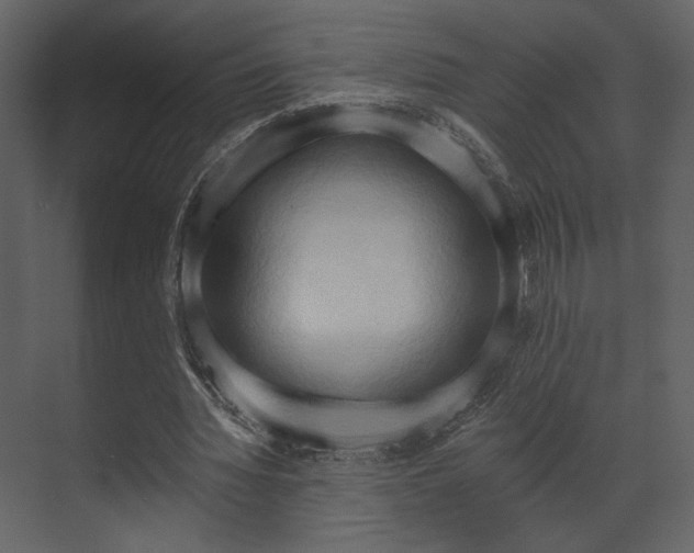 X0000070160436200605301303