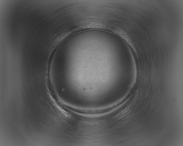 X0000070160437200605301303