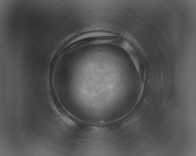 X0000070160442200605301303