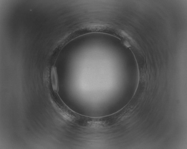 X0000070160448200605301304