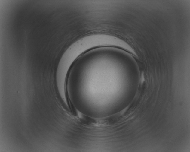 X0000070160466200605301304