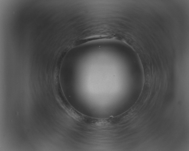 X0000070160468200605301304