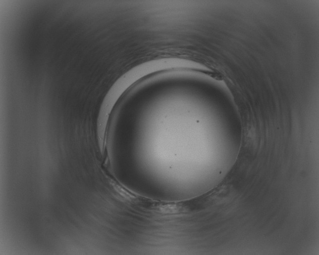 X0000070160473200605301304