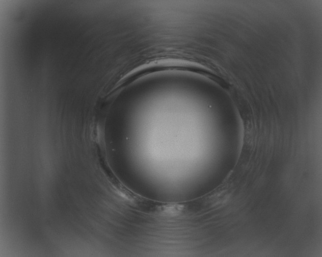 X0000070160474200605301304