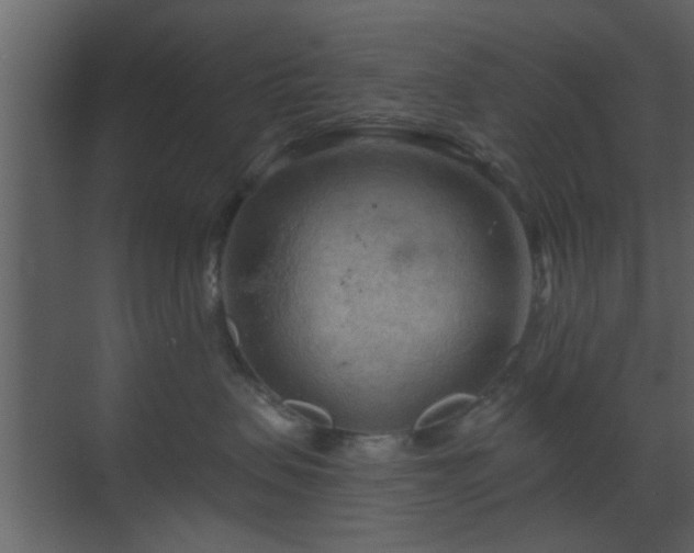 X0000070160479200605301304