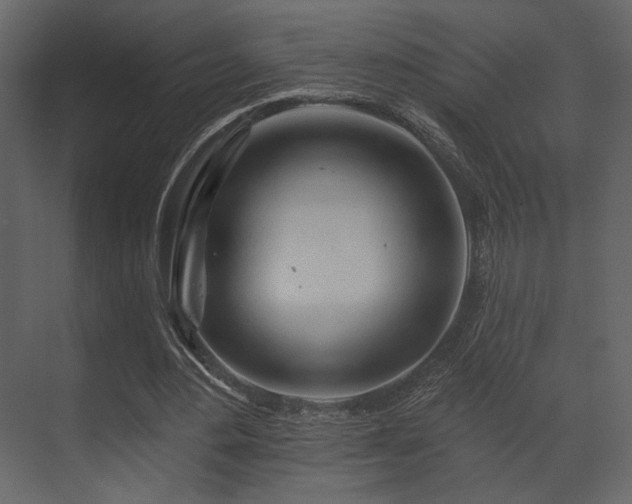 X0000070160484200605301303