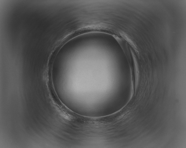 X0000070160486200605301303