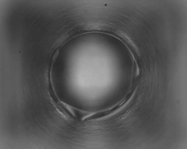 X0000070160489200605301303