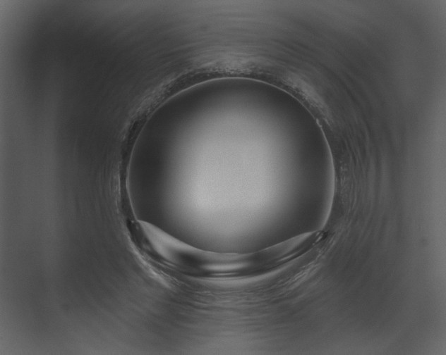 X0000070160493200605301303