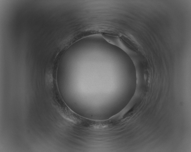 X0000070160500200605301303