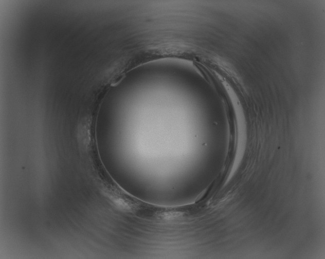 X0000070160501200605301303