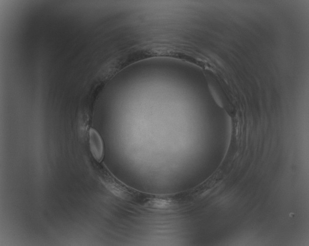 X0000070160507200605301303