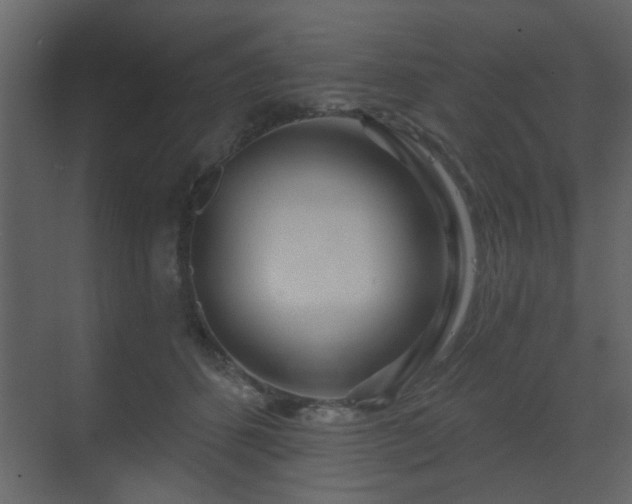 X0000070160512200605301303