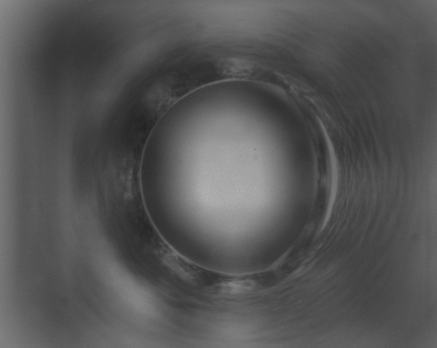 X0000070160525200605301303