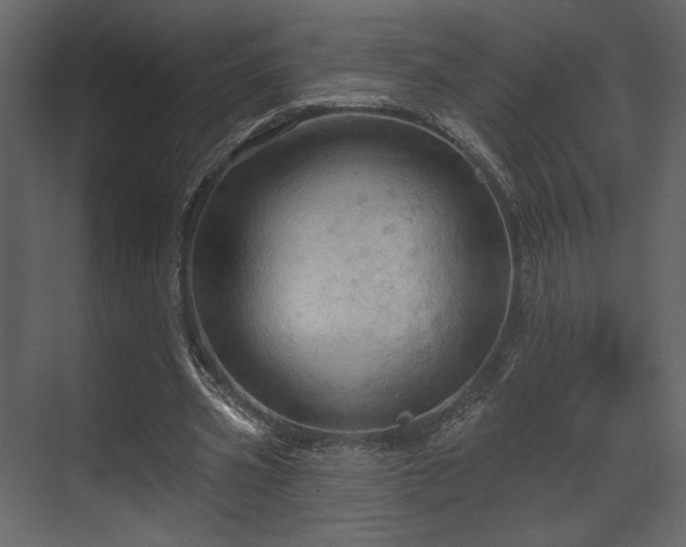 X0000070160533200605301302