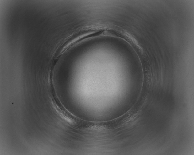 X0000070160537200605301302