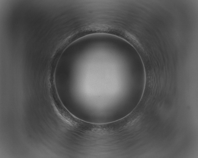 X0000070160538200605301302