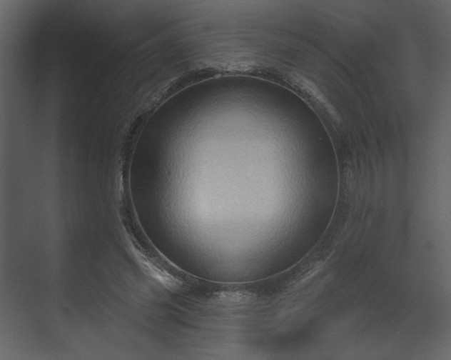 X0000070160541200605301302