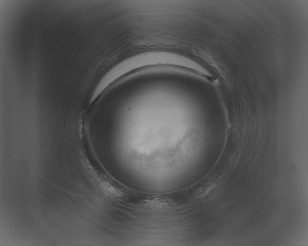 X0000070160545200605301302