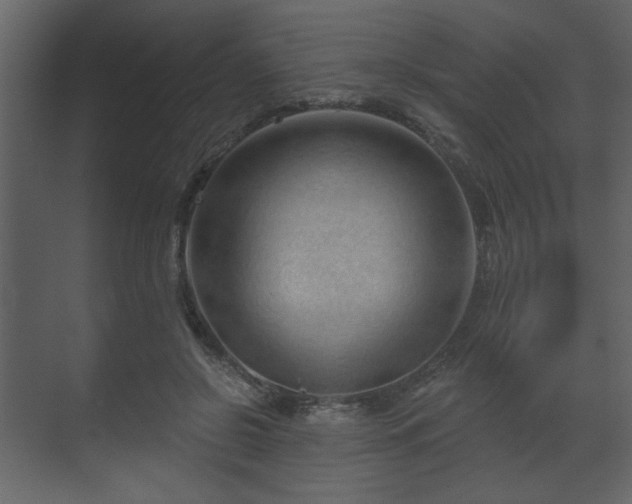 X0000070160550200605301302