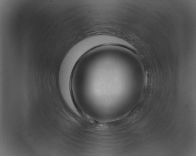 X0000070160562200605301302
