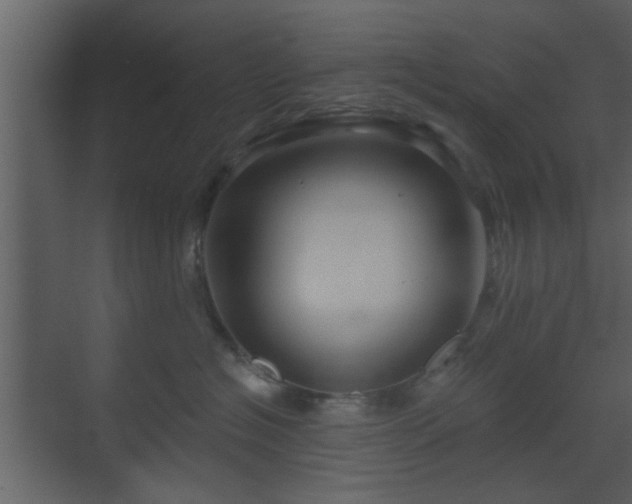 X0000070160574200605301302
