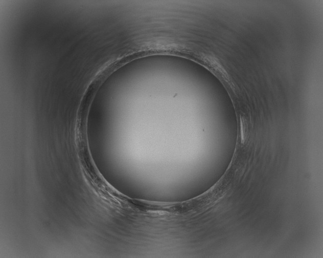 X0000070160579200605301302