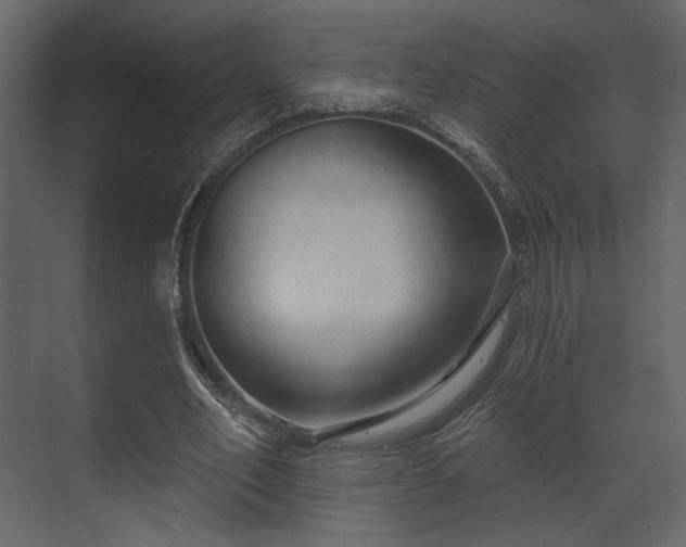 X0000070160582200605301302