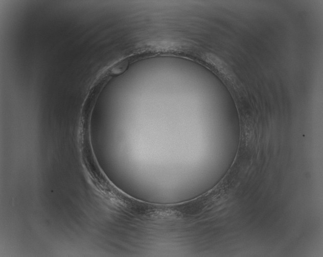 X0000070160583200605301302