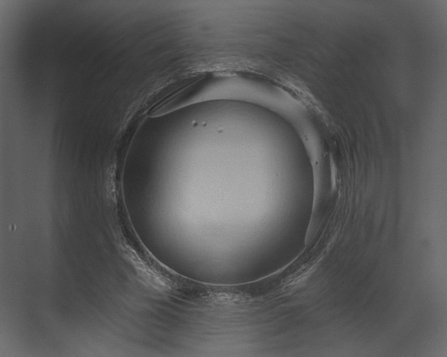 X0000070160585200605301302