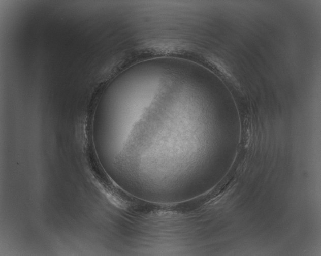 X0000070160590200605301301
