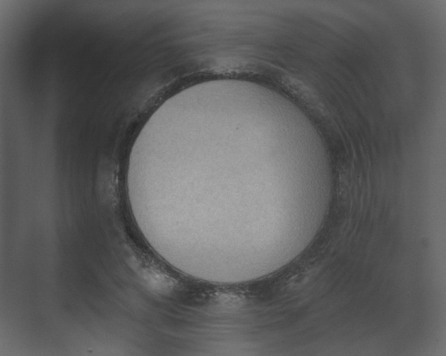 X0000070160592200605301301