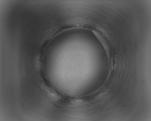 X0000070160594200605301301