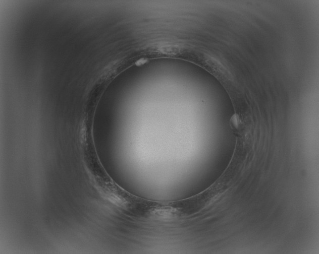 X0000070160595200605301301