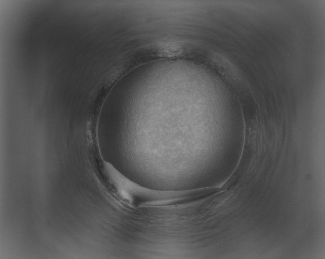 X0000070160598200605301301