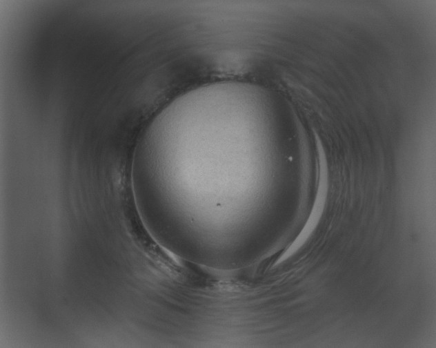 X0000070160608200605301301