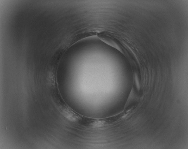 X0000070160609200605301301