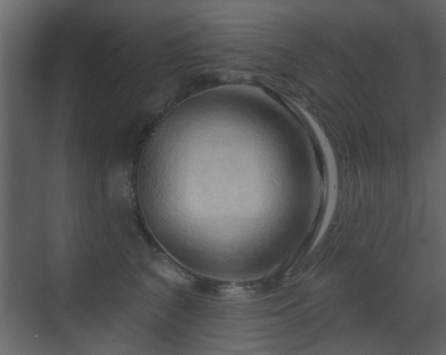 X0000070160616200605301301