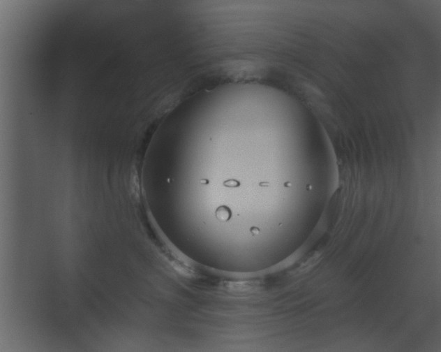 X0000070160622200605301301