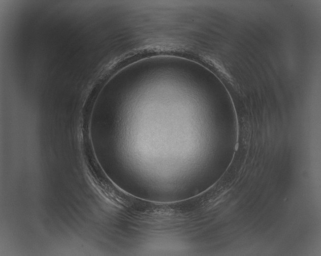 X0000070160631200605301300