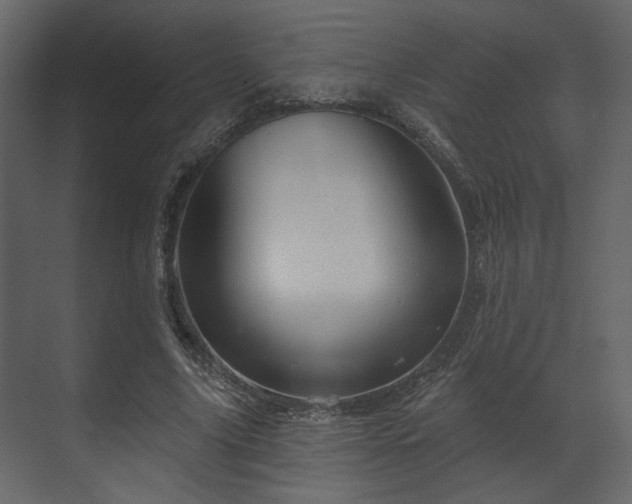 X0000070160635200605301300