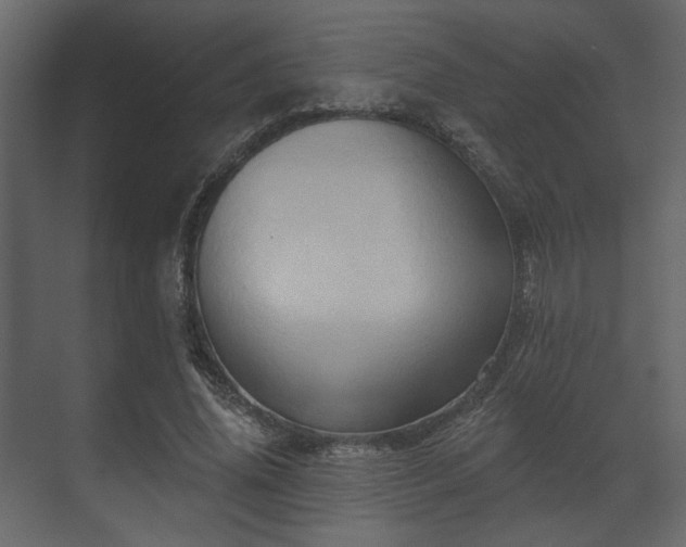 X0000070160636200605301300