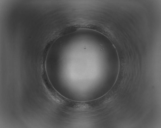 X0000070160642200605301300