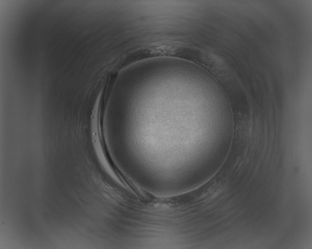 X0000070160649200605301300