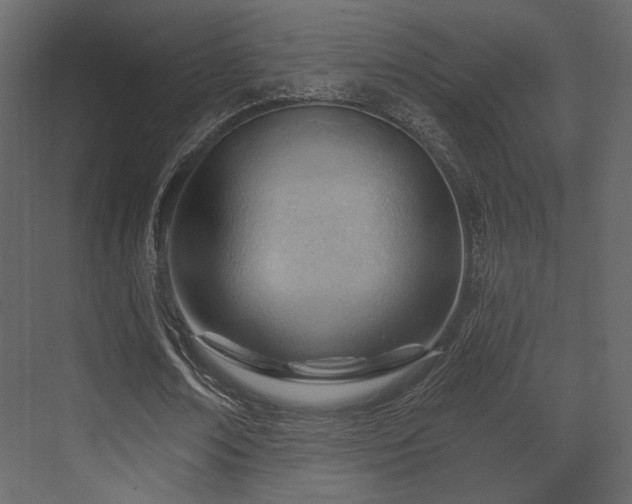 X0000070160674200605301300