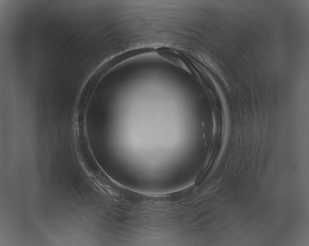 X0000070160676200605301300